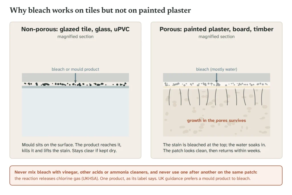 Two magnified cross-sections. Left: a glazed tile with mould sitting on the surface, where bleach or a mould product reaches it. Right: painted plaster with mould growing down into the pores; bleach whitens the surface but the growth in the pores survives. A warning box says never to mix bleach with vinegar, other acids or ammonia cleaners.