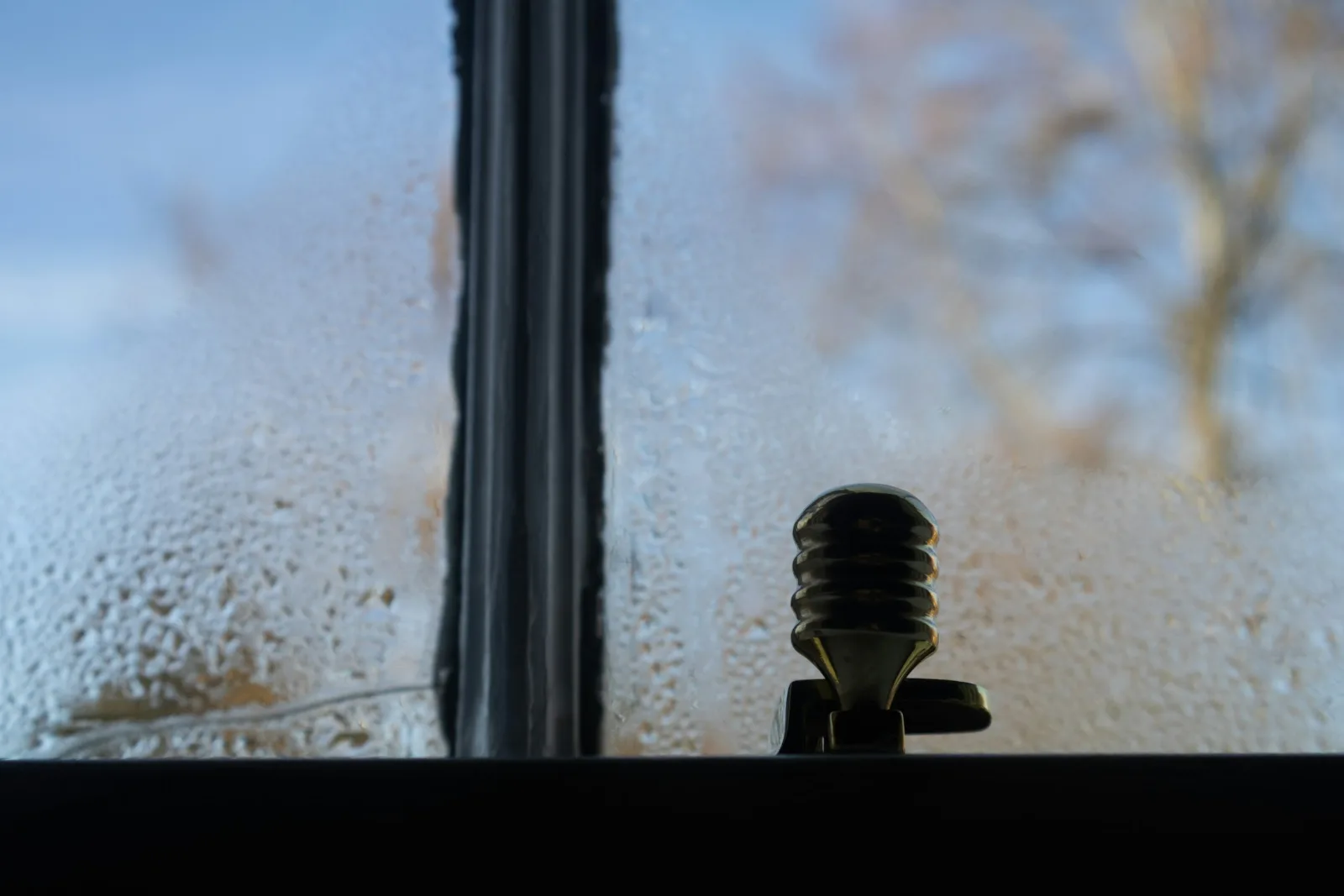 Droplets of condensation covering a window pane, with the window frame, a brass fitting and the sill dark in the foreground and a tree blurred outside.