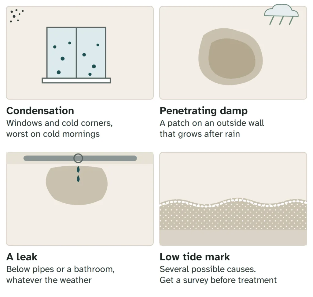 Diagram comparing four patterns. Condensation: droplets on windows and cold corners, worst on cold mornings. Penetrating damp: a patch on an outside wall that grows after rain. A leak: a patch below pipes or a bathroom whatever the weather. A low tide mark with white salts: several possible causes, so get a survey before treatment.