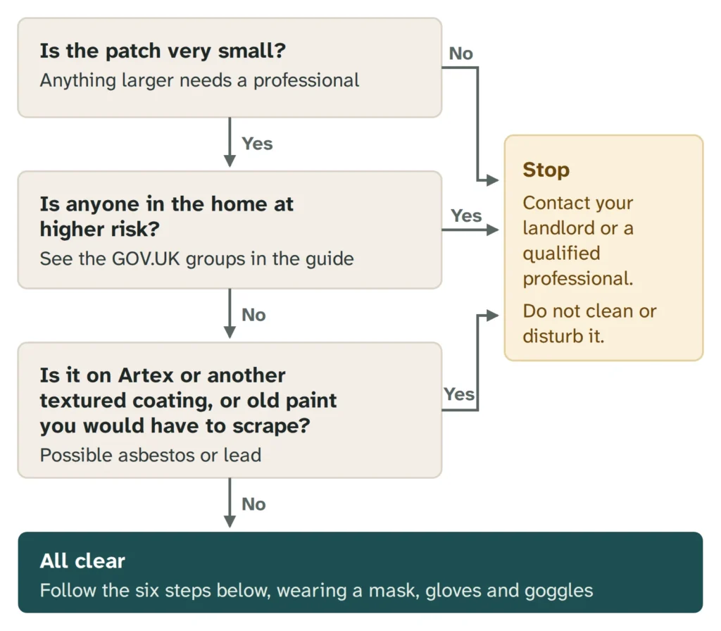 Flow chart. Is the patch very small? If no, stop and contact your landlord or a qualified professional. If yes: is anyone in the home at higher risk? If yes, stop. If no: is it on Artex or another textured coating, or old paint you would have to scrape? If yes, stop and do not disturb it. If all clear, follow the six steps wearing a mask, gloves and goggles.