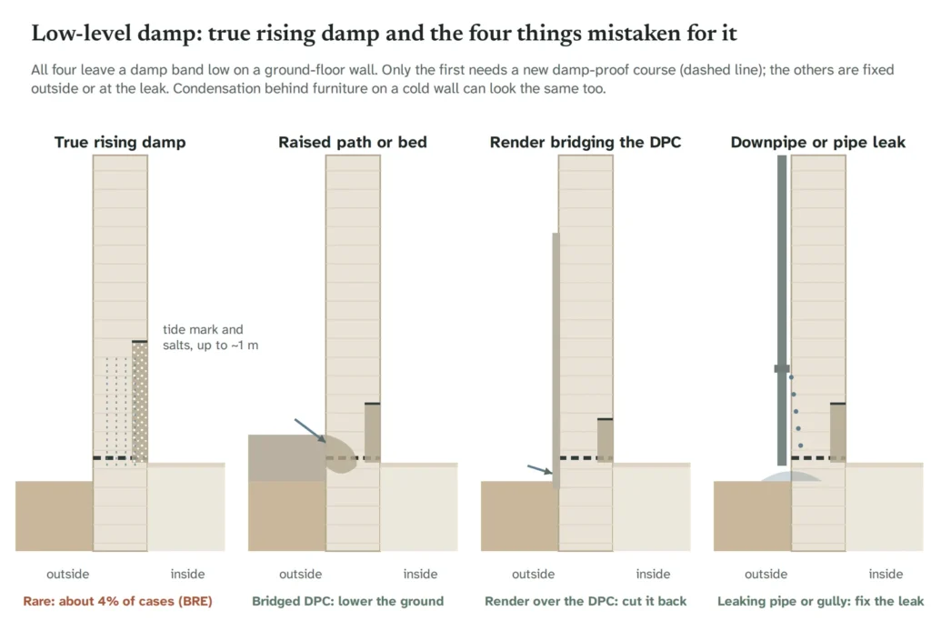 Diagram of four wall-base cross-sections: true rising damp with a tide mark and salts up to about a metre; a raised path bridging the damp-proof course; render running down over the damp-proof course; and a leaking downpipe wetting the base of the wall.