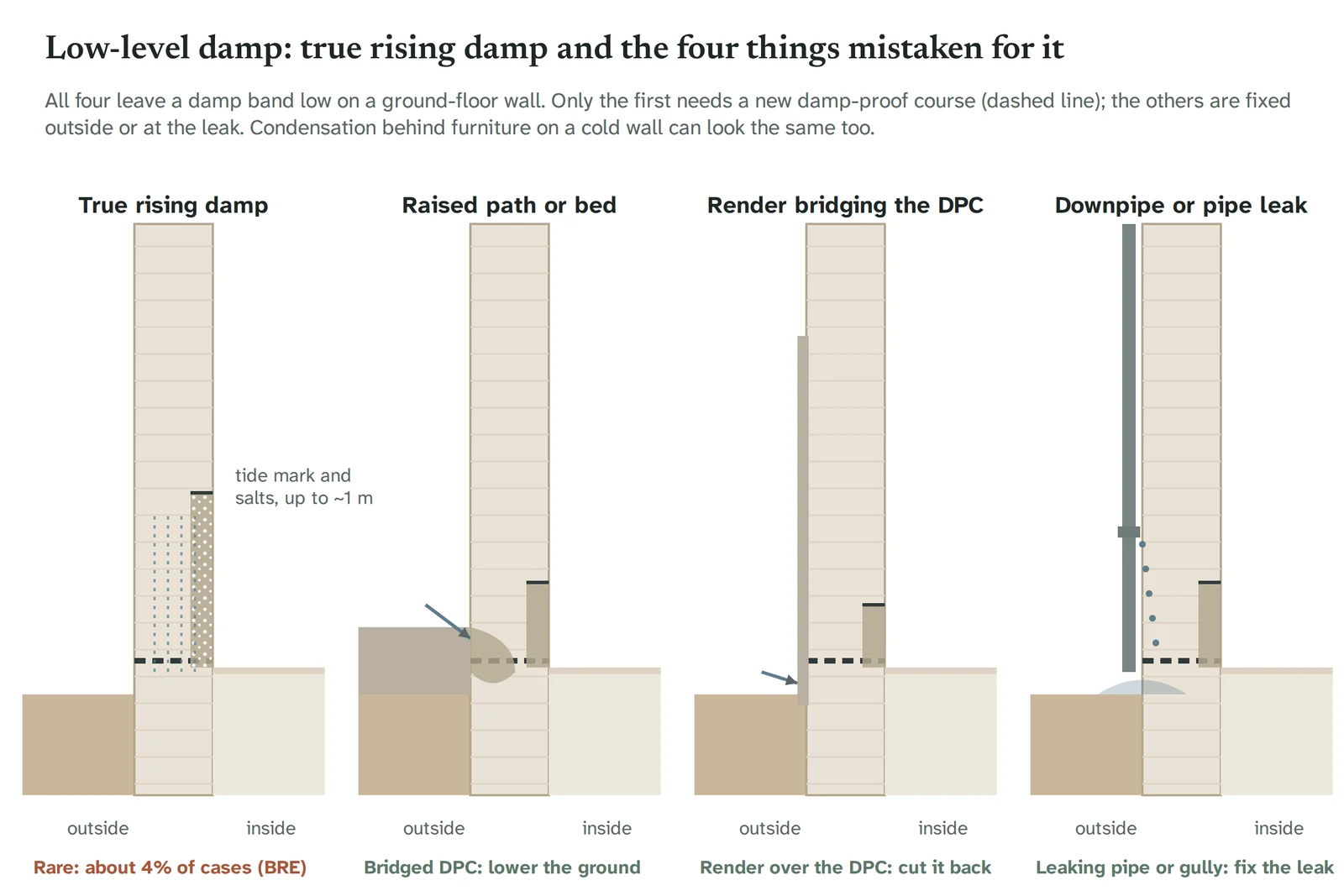 Diagram of four wall-base cross-sections: true rising damp with a tide mark and salts up to about a metre; a raised path bridging the damp-proof course; render running down over the damp-proof course; and a leaking downpipe wetting the base of the wall.